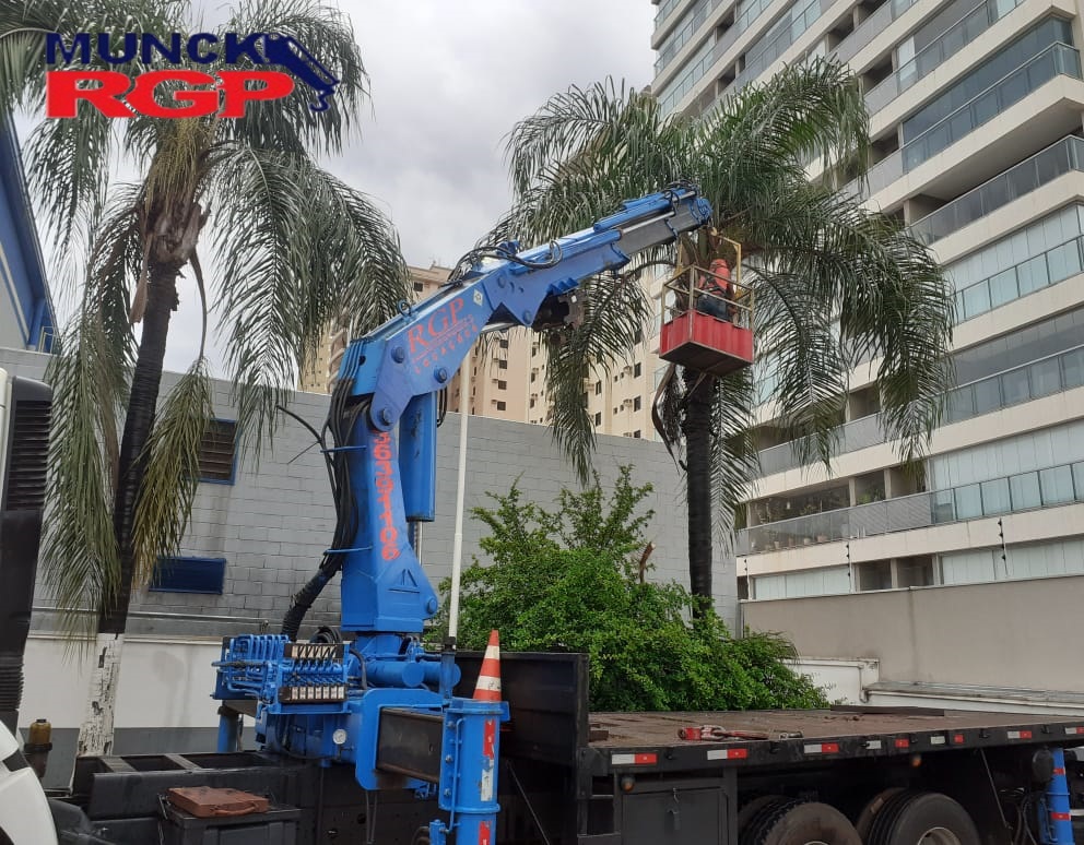 Munck Ribeirão Preto RGP Munck Ribeirão Preto, atendemos toda a região com eficiência, segurança e equipamentos modernos. Nossa equipe altamente capacitada está pronta para oferecer suporte técnico