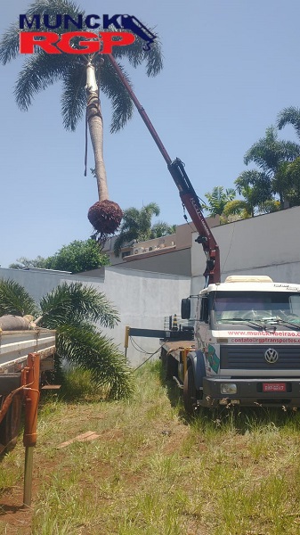 Caminhão Munck Ribeirão Preto Agilidade, Segurança e Eficiência no Levantamento e Transporte de Cargas Pesadas. Em Ribeirão Preto, uma cidade de grande importância econômica e industrial no interior de São Paulo, a demanda por soluções eficientes para o transporte e levantamento de cargas pesadas tem crescido a passos largos.
